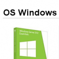 OS UK Windows SVR 2012 Essentials R2 64bit DSP OEI DVD